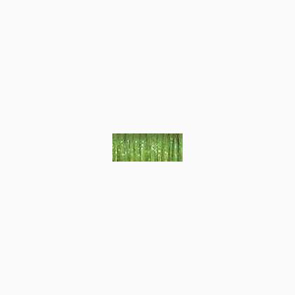 5535 - Oregano (#12)