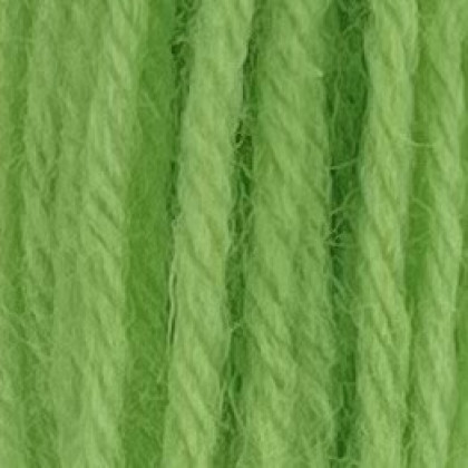 Tapestry Wool - Leaf Green 422