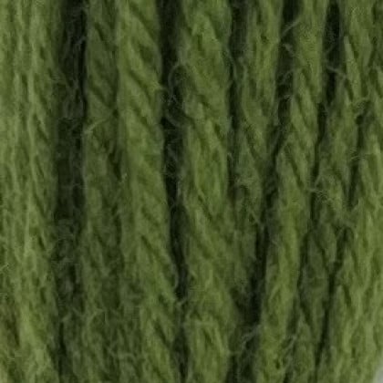 Tapestry Wool Hank - Early English Green 546
