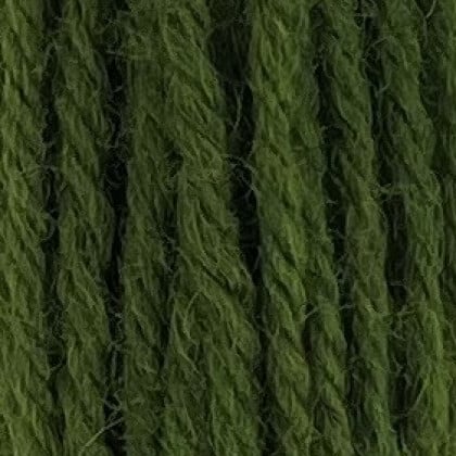 Tapestry Wool Hank - Early English Green 547