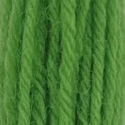 Tapestry Wool - Leaf Green 424