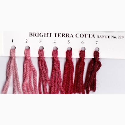 Crewel Wool - Bright Terra Cotta 221