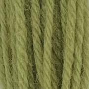 Tapestry Wool Hank - Early English Green 542
