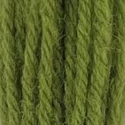 Crewel Wool Hank - Early English Green 544
