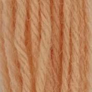 Tapestry Wool Hank - Flesh Tints 708