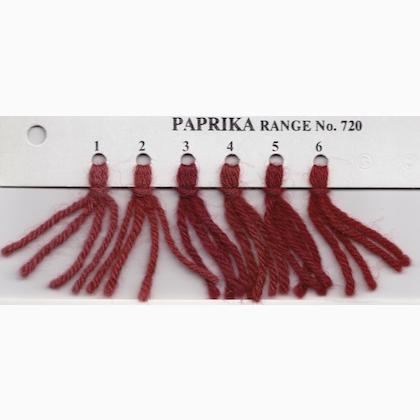 Tapestry Wool Hank - Paprika 722