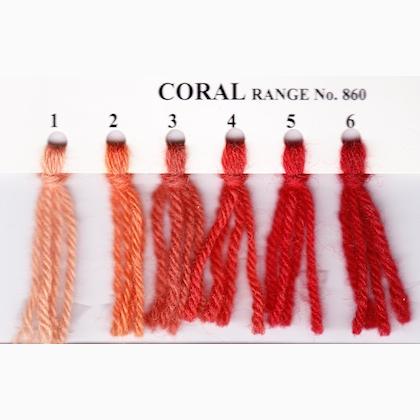 Tapestry Wool Hank - Coral 866