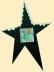 Passepartout - Estrella de Navidad - 27x20cm