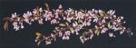 Japanese Blossom - Negro