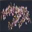 Japanese Blossom - Negro