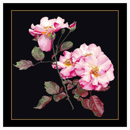 Rosa Leersum - Negro