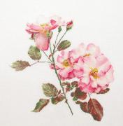 Rosa Leersum - Blanco