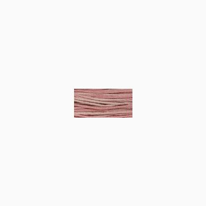 WDW 2282 Charlotte\'s Pink