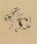 Un Lapin