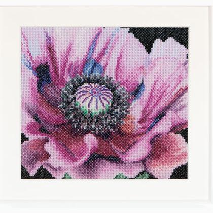 Spring Collection: Amapola