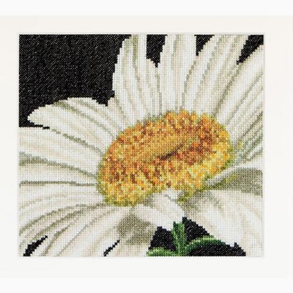 Spring Collection: Margarita