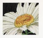 Spring Collection: Margarita