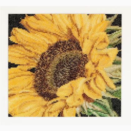 Spring Collection: Girasol