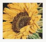 Spring Collection: Girasol