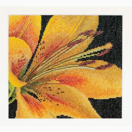 Spring Collection: Lirio