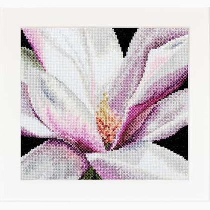 Autumn Collection: Magnolia