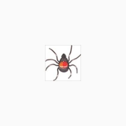Botón - Araña