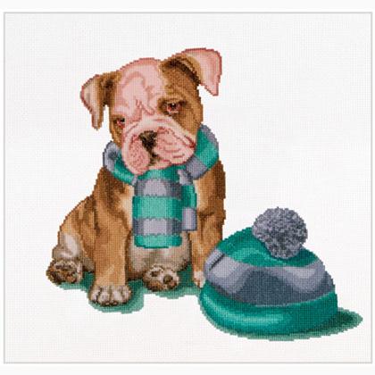 It\'s cold outside