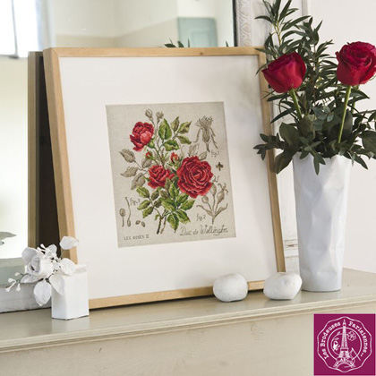 Etude à la rose Duc de Wellington - Lino