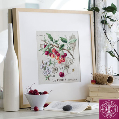 Etude Aux Cerises - Lino