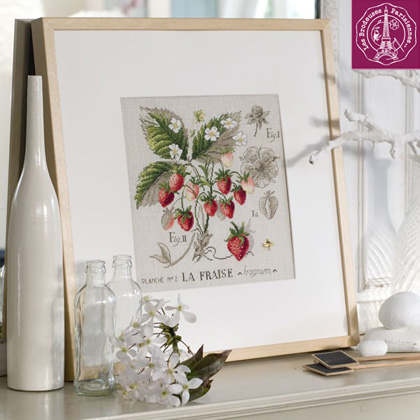 Etude Aux Fraises - Lino