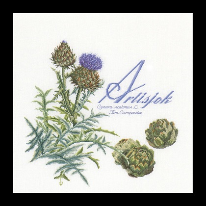 Artichoke - blanco