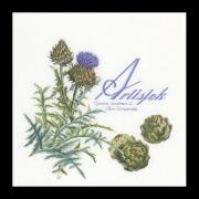 Artichoke - blanco