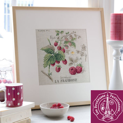 Etude Aux Framboises - Lino