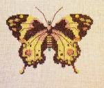 Gold Butterfly