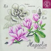 Étude au Magnolia - Lino