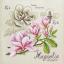 Étude au Magnolia - Lino