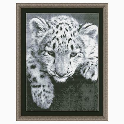 Black And White Leopard