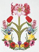 Amaryllis