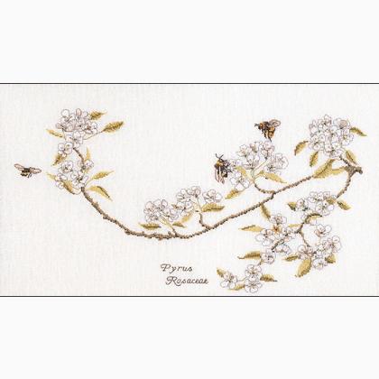 Flores de peral
