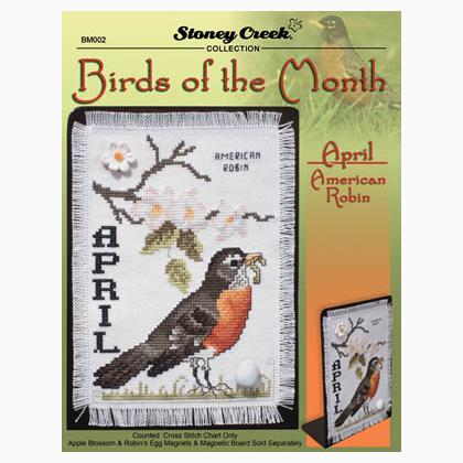 Birds Of The Month-April (American Robin)