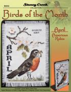 Birds Of The Month-April (American Robin)