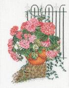 Hydrangea Rosa