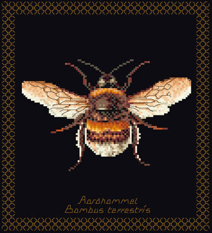Bumble Bee - Negro