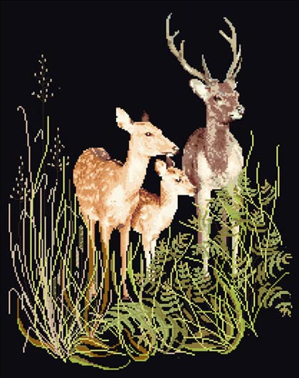 Deer Family - Negro