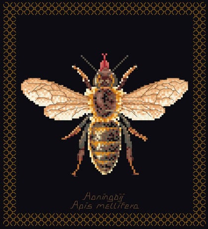 Honey Bee - Negro
