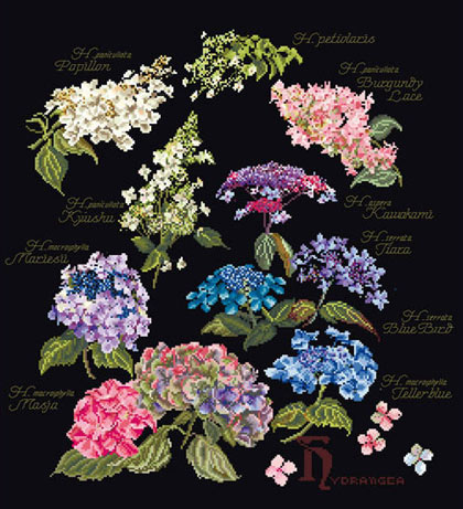Hydrangea Panel - Negro