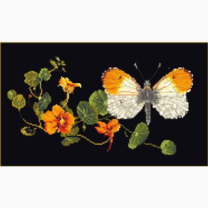 Mariposa-Mastuerzo - negro