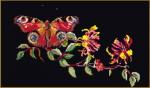 Mariposa-Madreselva - negro
