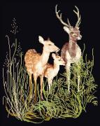 Deer Family - Negro