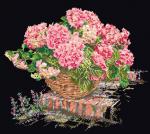 Hydrangea rosa - Negro